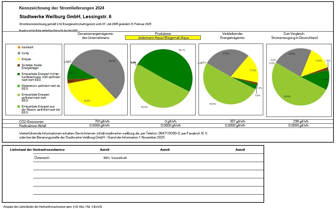 Stromkennzeichnung 2024 Grafik Korrektur_.jpg