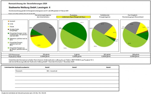 Stromkennzeichnung 2024 Grafik.jpg